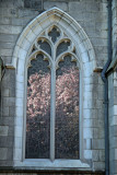 Grace Church Garden - Magnolia Blossoms Reflected