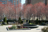 Robert Wagner Jr Park