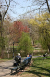 North Pool Area