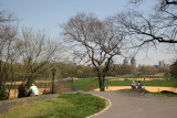 North Meadow Area