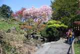 Japanese Garden