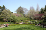 Scent Garden