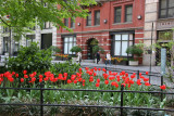 Washington Square East NYU Galleries from WSS