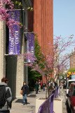 NYU Information Center & Library - West View