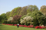 Osborne Garden
