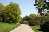 Garden View - Lilac Collection