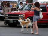  Woman and her dog.