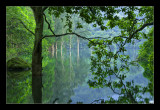 Jubilee Reservoir