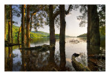 Jubilee Reservoir