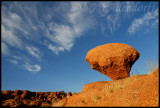 The magic mushroom at Oranjekom