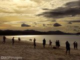 Whitehaven Beach