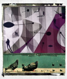 pigeon and art