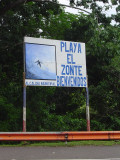 Playa El Zonte