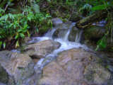 Little cascade along the trail