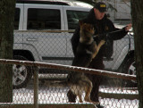 K-9 Frisks The Sheriff...