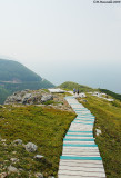 The Skyline Trail