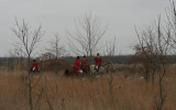 DSCN0496.JPG