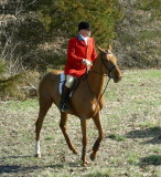 Grosvenor