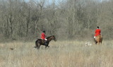 DSCN8275.JPG
