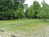 surface - 09.jpg