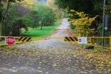 Dangerous Falling Leaves in Notner