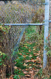 Notner Fencing