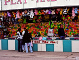 Fun at the County Fair