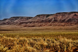 THE HIGH DESERT