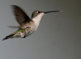 HUMMER