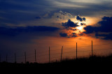 SUNSET  AND A FENCE