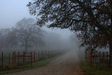 MISTY DRIVE