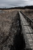 BOARDWALK