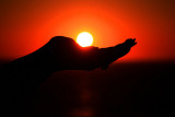 SUN IN THE PALM OF HER HAND