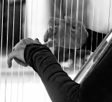 MEMORIES - PLAYING THE HARP