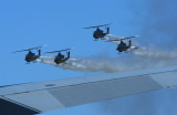ON THE WING