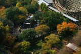 LOOKING DOWN FROM THE TOWER