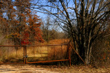 THE GATE