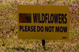 DO NOT MOW....OKAY, I WONT!!