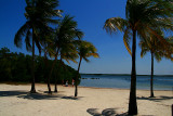 BEACH ON KEY LARGO