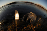 Ice-formations
