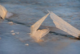 Ice formation