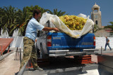 Wine production in Archanes