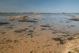 Carantec - La plage de la Grève blanche