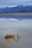 Death_Valley-22.jpg