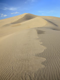 Death_Valley-43.jpg