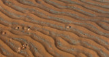 Lake Powell-Sand Ripples