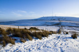 Winter Hill