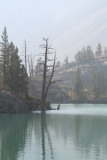Reflections: Split tree at First Lake, Big Pine Creek, CA