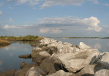 landscape1.jpg