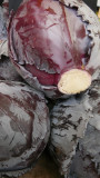 red cabbage